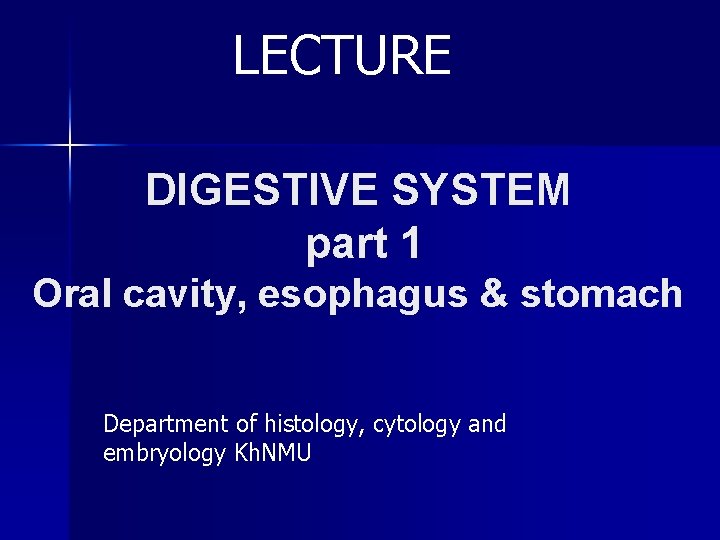 LECTURE DIGESTIVE SYSTEM part 1 Oral cavity, esophagus & stomach Department of histology, cytology