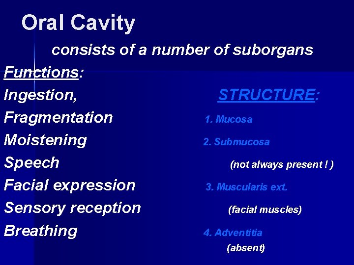 Oral Cavity consists of a number of suborgans Functions: Ingestion, STRUCTURE: Fragmentation 1. Mucosa