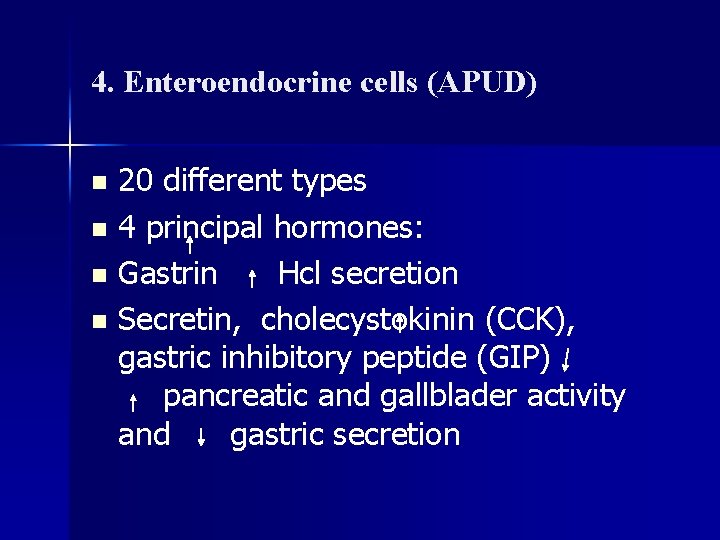 4. Enteroendocrine cells (APUD) 20 different types n 4 principal hormones: n Gastrin Hcl