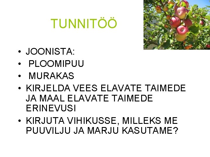 TUNNITÖÖ • • JOONISTA: PLOOMIPUU MURAKAS KIRJELDA VEES ELAVATE TAIMEDE JA MAAL ELAVATE TAIMEDE