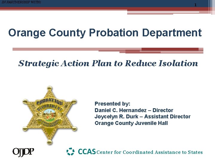 IN PARTNERSHIP WITH: 1 Orange County Probation Department Strategic Action Plan to Reduce Isolation