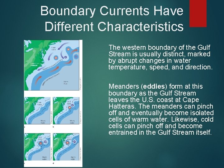 Boundary Currents Have Different Characteristics The western boundary of the Gulf Stream is usually