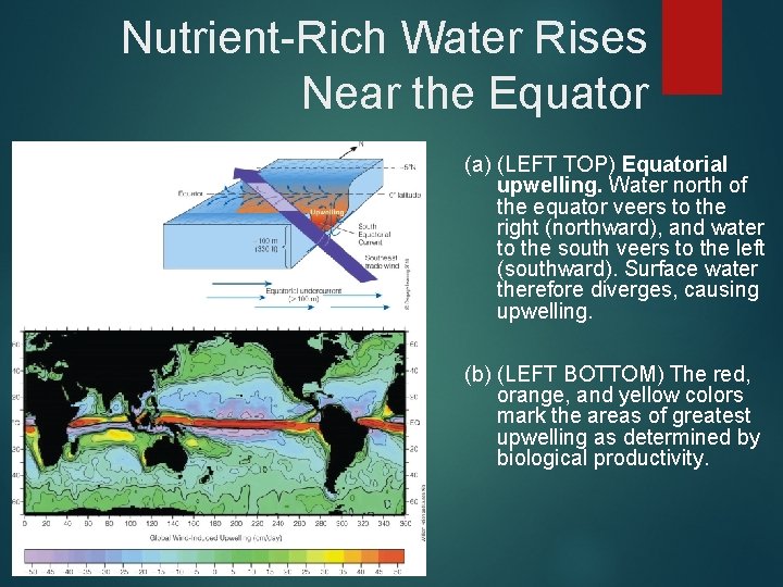 Nutrient-Rich Water Rises Near the Equator (a) (LEFT TOP) Equatorial upwelling. Water north of