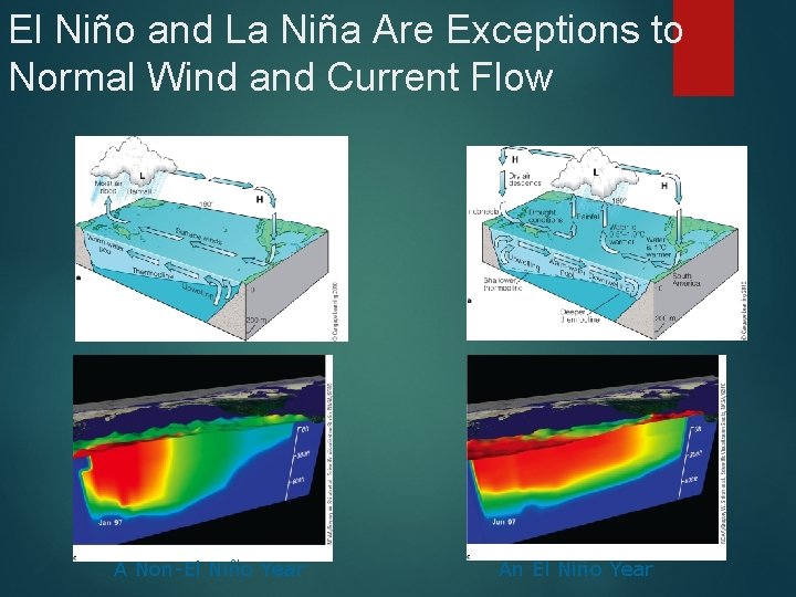 El Niño and La Niña Are Exceptions to Normal Wind and Current Flow A