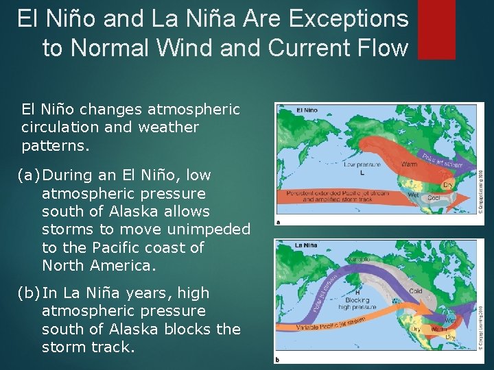 El Niño and La Niña Are Exceptions to Normal Wind and Current Flow El