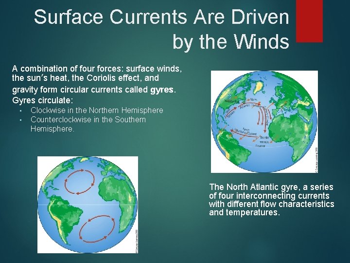 Surface Currents Are Driven by the Winds A combination of four forces: surface winds,