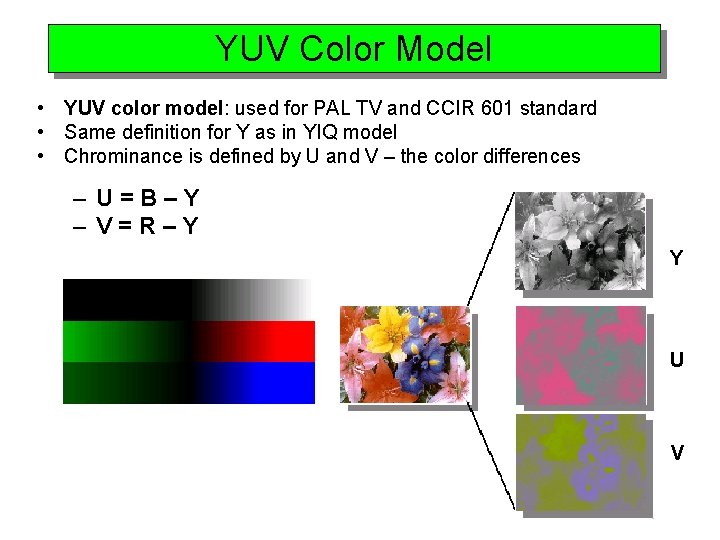 YUV Color Model • YUV color model: used for PAL TV and CCIR 601
