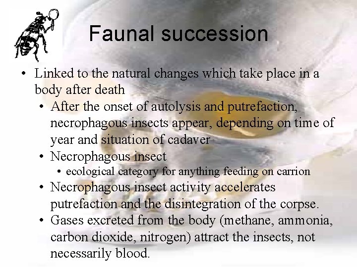Faunal succession • Linked to the natural changes which take place in a body