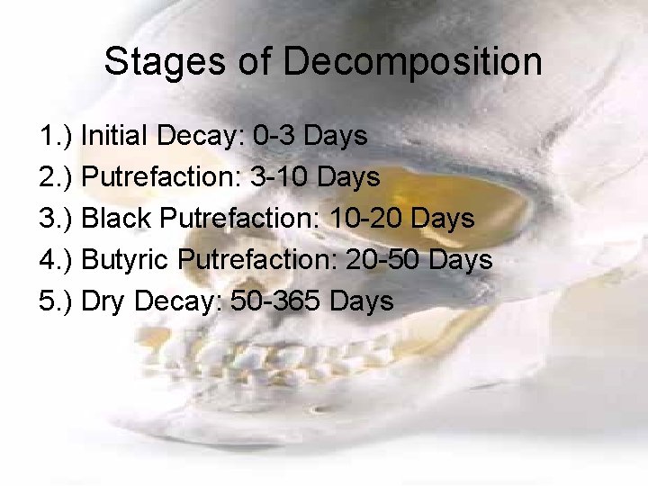 Stages of Decomposition 1. ) Initial Decay: 0 -3 Days 2. ) Putrefaction: 3