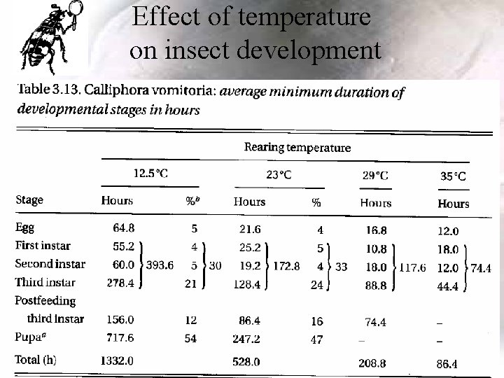 Effect of temperature on insect development 