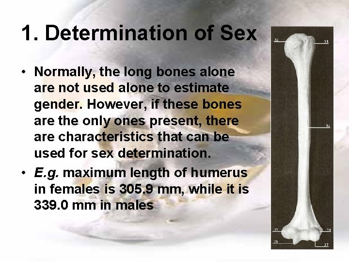 1. Determination of Sex • Normally, the long bones alone are not used alone