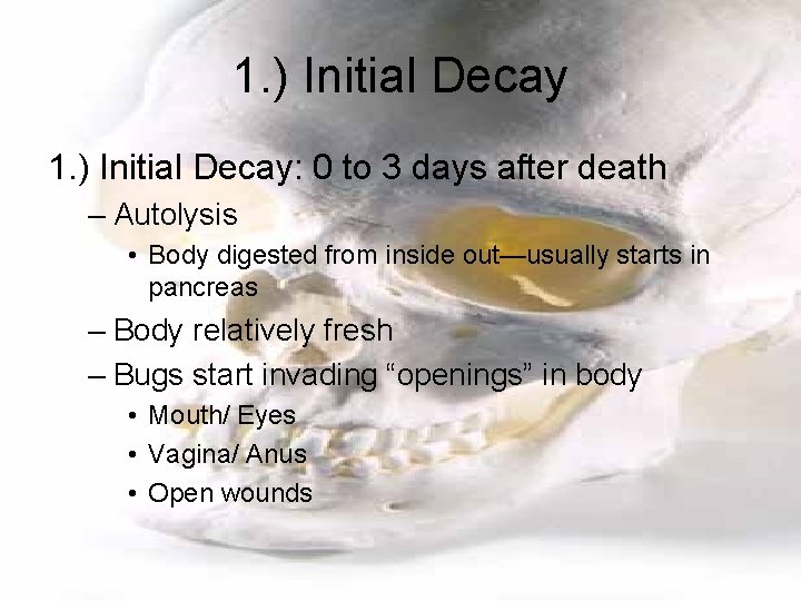 1. ) Initial Decay: 0 to 3 days after death – Autolysis • Body