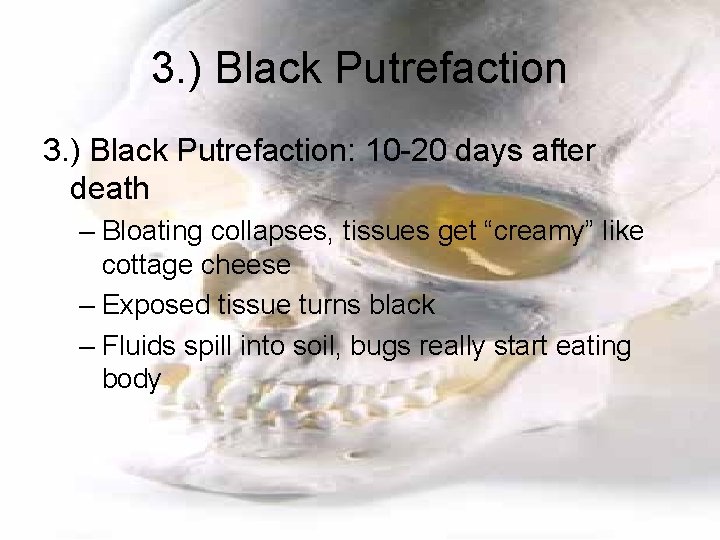 3. ) Black Putrefaction: 10 -20 days after death – Bloating collapses, tissues get