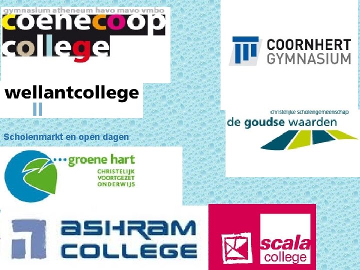 Scholenmarkt en open dagen 