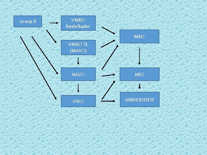 Groep 8 VMBO basis/kader MBO VMBO TL (MAVO) HAVO HBO VWO UNIVERSITEIT 