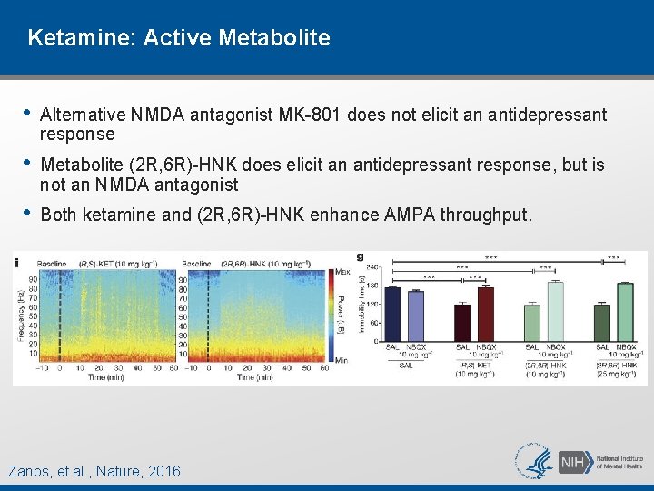 Ketamine: Active Metabolite • Alternative NMDA antagonist MK-801 does not elicit an antidepressant response Ketamine: Active Metabolite • Alternative NMDA antagonist MK-801 does not elicit an antidepressant response