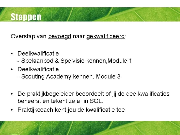 Stappen Overstap van bevoegd naar gekwalificeerd: • Deelkwalificatie - Spelaanbod & Spelvisie kennen, Module