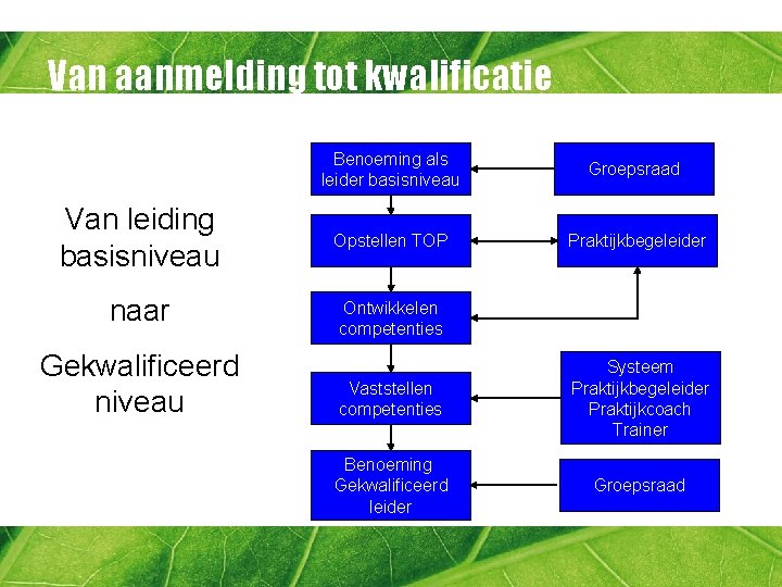 Van aanmelding tot kwalificatie Benoeming als leider basisniveau Groepsraad Van leiding basisniveau Opstellen TOP