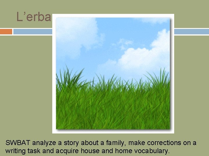 L’erba SWBAT analyze a story about a family, make corrections on a writing task