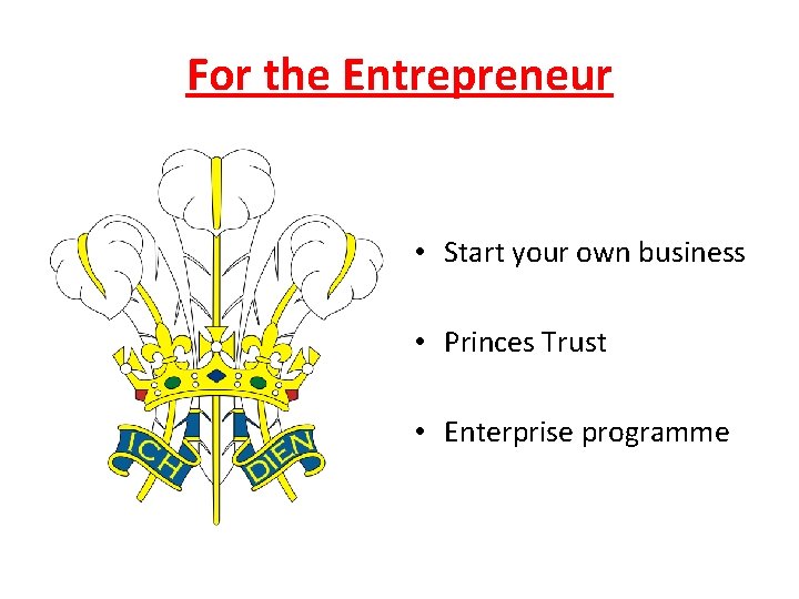 For the Entrepreneur • Start your own business • Princes Trust • Enterprise programme