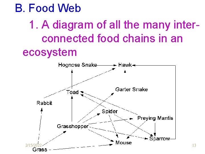 B. Food Web 1. A diagram of all the many interconnected food chains in