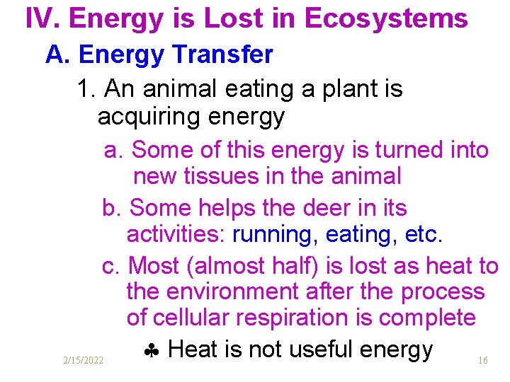 IV. Energy is Lost in Ecosystems A. Energy Transfer 1. An animal eating a