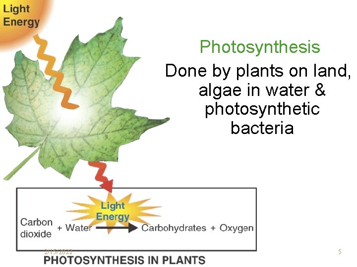 Photosynthesis Done by plants on land, algae in water & photosynthetic bacteria 2/15/2022 5