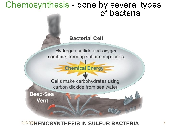 Chemosynthesis - done by several types of bacteria 2/15/2022 6 