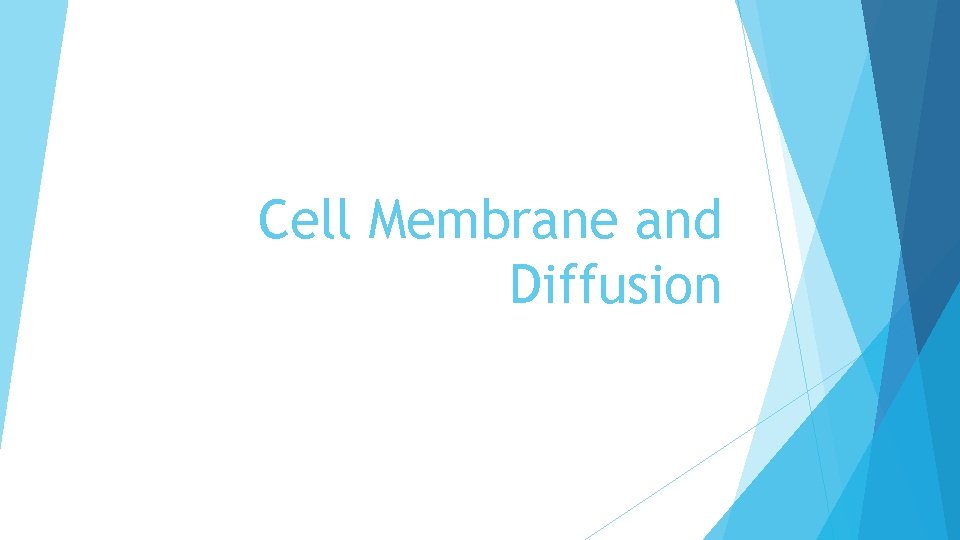 Cell Membrane and Diffusion 