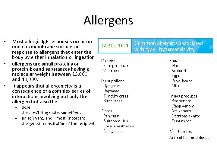 Allergens • • • Most allergic Ig. E responses occur on mucous membrane surfaces