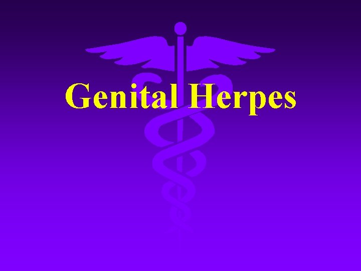 Genital Herpes 