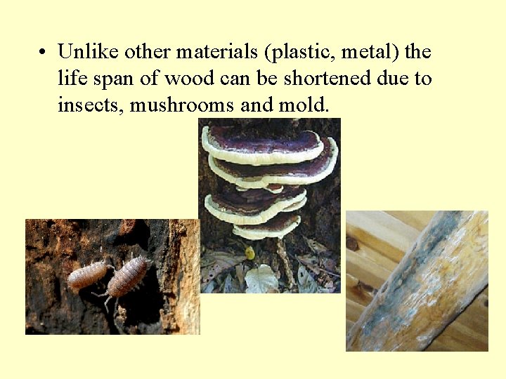  • Unlike other materials (plastic, metal) the life span of wood can be