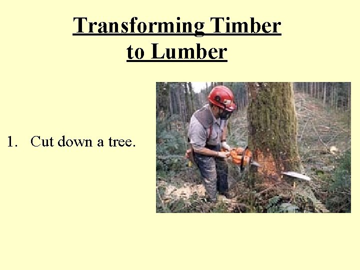 Transforming Timber to Lumber 1. Cut down a tree. 
