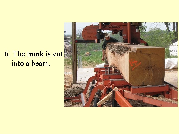6. The trunk is cut into a beam. 
