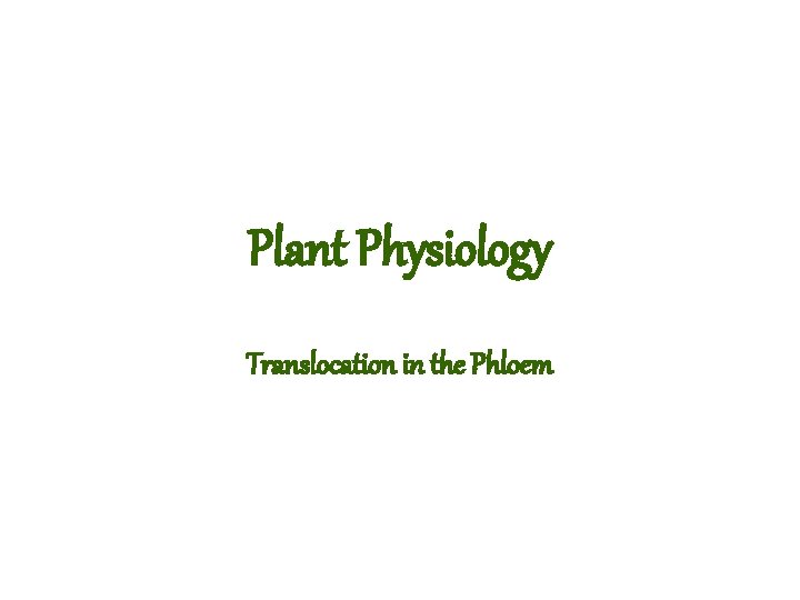 Plant Physiology Translocation in the Phloem 