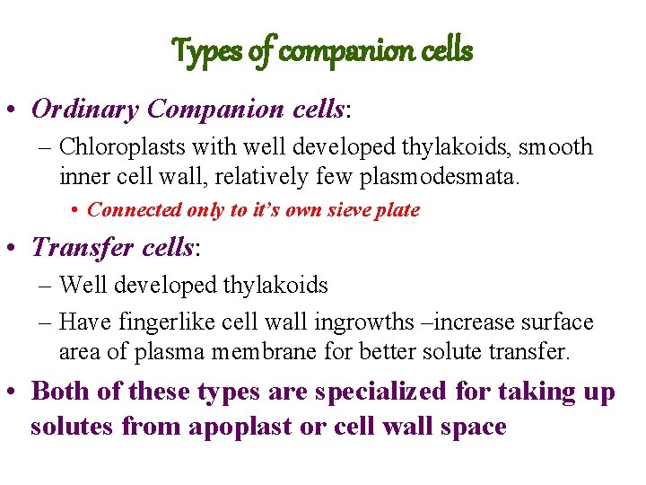 Types of companion cells • Ordinary Companion cells: – Chloroplasts with well developed thylakoids,