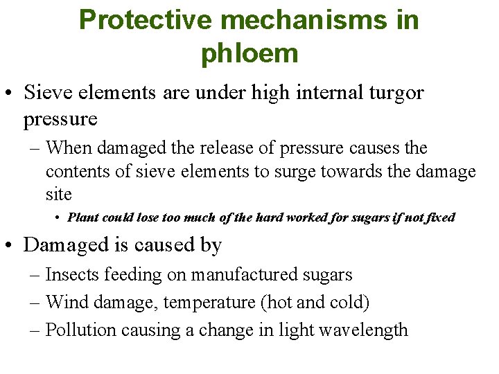 Protective mechanisms in phloem • Sieve elements are under high internal turgor pressure –