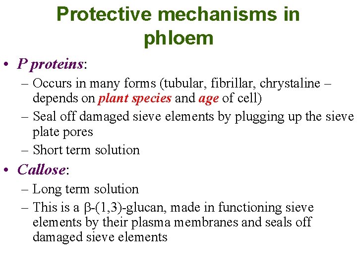 Protective mechanisms in phloem • P proteins: – Occurs in many forms (tubular, fibrillar,
