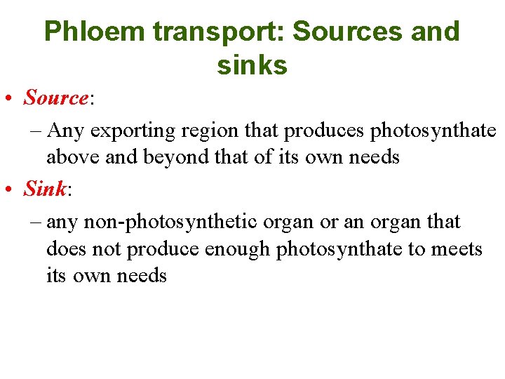 Phloem transport: Sources and sinks • Source: – Any exporting region that produces photosynthate