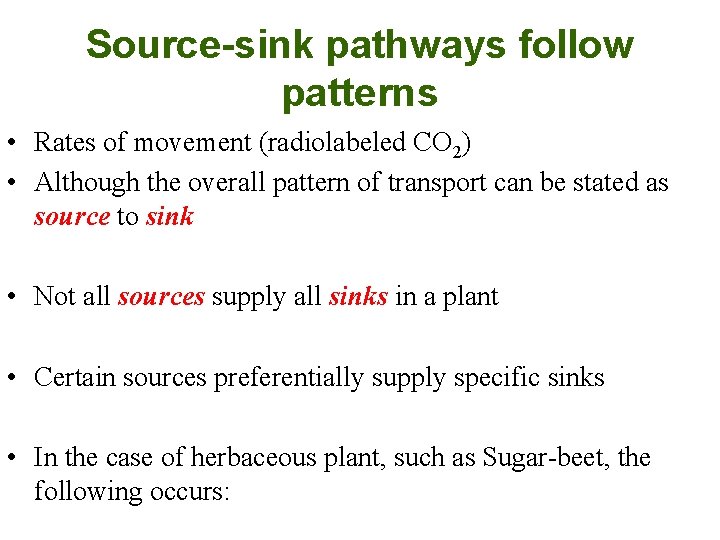 Source-sink pathways follow patterns • Rates of movement (radiolabeled CO 2) • Although the