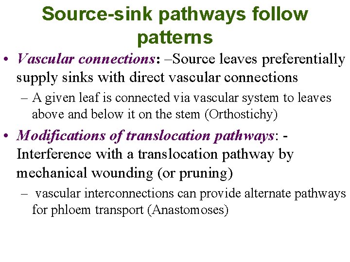 Source-sink pathways follow patterns • Vascular connections: –Source leaves preferentially supply sinks with direct