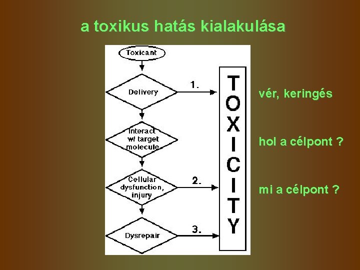 a toxikus hatás kialakulása vér, keringés hol a célpont ? mi a célpont ? a toxikus hatás kialakulása vér, keringés hol a célpont ? mi a célpont ?