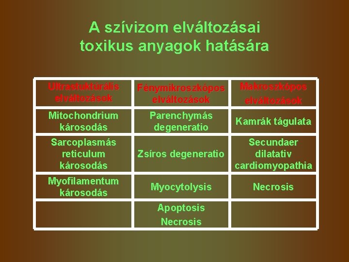 A szívizom elváltozásai toxikus anyagok hatására Ultrastuktúrális elváltozások Fénymikroszkópos elváltozások Makroszkópos elváltozások Mitochondrium károsodás A szívizom elváltozásai toxikus anyagok hatására Ultrastuktúrális elváltozások Fénymikroszkópos elváltozások Makroszkópos elváltozások Mitochondrium károsodás