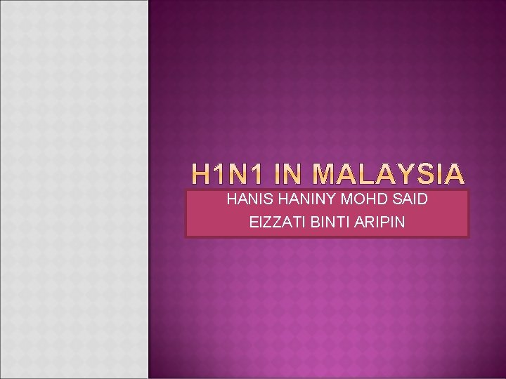 HANIS HANINY MOHD SAID EIZZATI BINTI ARIPIN 