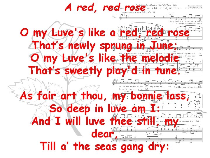 A red, red rose O my Luve's like a red, red rose That’s newly