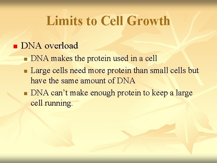 Limits to Cell Growth n DNA overload n n n DNA makes the protein Limits to Cell Growth n DNA overload n n n DNA makes the protein