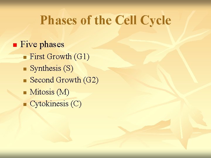 Phases of the Cell Cycle n Five phases n n n First Growth (G Phases of the Cell Cycle n Five phases n n n First Growth (G