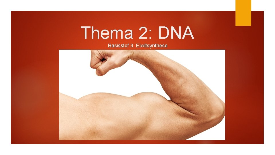 Thema 2: DNA Basisstof 3: Eiwitsynthese 