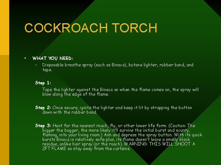COCKROACH TORCH • WHAT YOU NEED: – Disposable breathe spray (such as Binaca), butane