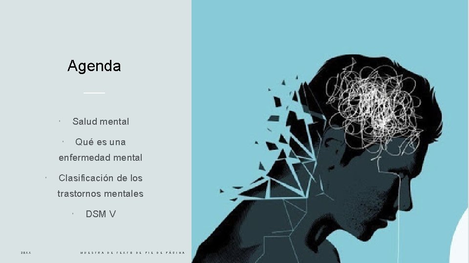 Agenda Salud mental Qué es una enfermedad mental Clasificación de los trastornos mentales 20